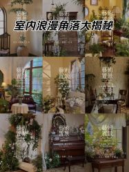 点击看大图 -金夫人婚纱摄影(包河万达店)