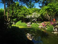 -嘉定紫藤园