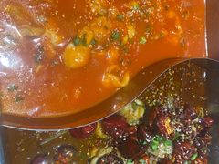 -齐祺鱼锅.清真(兰考店)