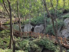 -大岭沟猕猴桃谷风景区