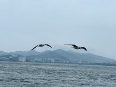 -刘公岛景区
