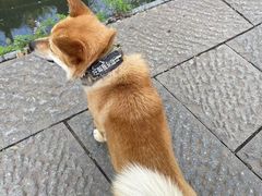 -西溪南古村落