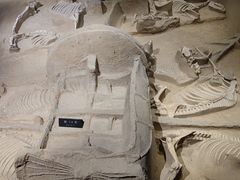 -洛阳周王城天子驾六博物馆