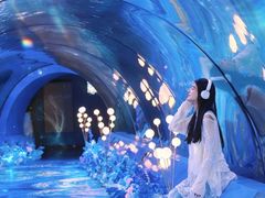 -重庆欢乐海底世界