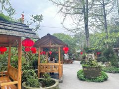 -青城甲(青城山店)