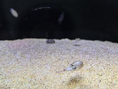 -欢乐海岸海洋奇梦馆