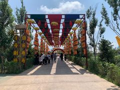 -中国马镇舞马世界主题乐园