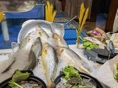-潍城老菜馆·地标美食