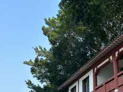 -白帝城·瞿塘峡景区