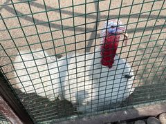 -南宫五洲植物乐园