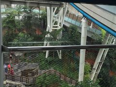 -新加坡摩天观景轮