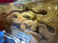 -上海昆虫博物馆