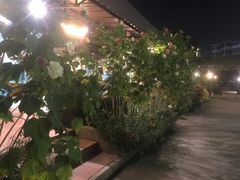 -沙龙酒家