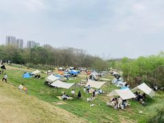 -三圣花乡旅游区