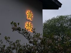 -青桃餐厅