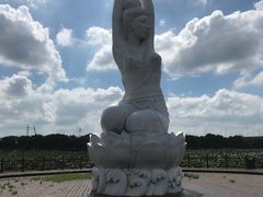 -荷塘月色湿地公园·向阳花洲