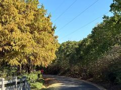 -上海海湾国家森林公园