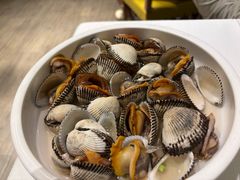-开海·红岛海鲜虾水饺(石老人店)
