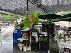 -京北渔家傲