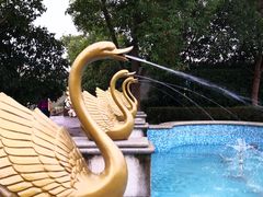 -上海海湾国家森林公园