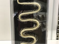 -中国湿地博物馆