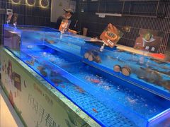 -海底捞火锅(长宁路龙之梦店)