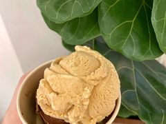 -LUNEURS月乐诗·法式冰淇淋(环贸店)