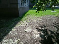 android_upload_pic-辽宁大学(崇山校区)