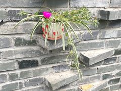 -T80科技文化国际社区-停车场