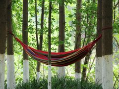 -桤木河湿地公园