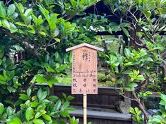 -天龙寺