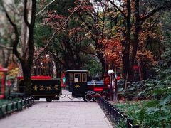 -上海共青森林公园