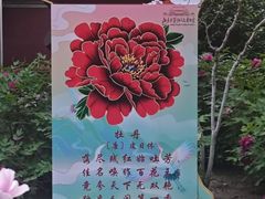 -北京市劳动人民文化宫(太庙)
