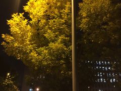 -香妃烤鸡(新奥店)