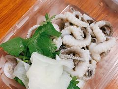 白灼章鱼-铭聚章鱼土笋冻(松柏店)