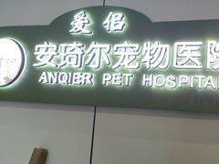 -爱侣·安琦尔宠物医院·中兽医针灸·心内科·狂犬免疫点(宝山区院)