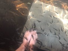 -溧阳天目湖天沐温泉