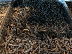 -昆虫窝子·特色云南菜(拓东路总店)