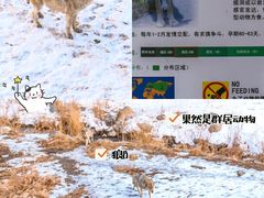 -新疆天山野生动物园