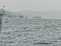 -上海市保健医疗中心