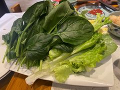 蔬菜-五熟府(东方盐湖城店)