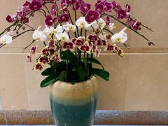 -福州长乐国际机场