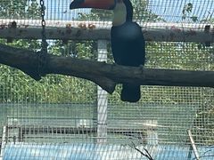 -济南野生动物世界