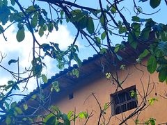 -煲煲掂风味煲仔饭餐厅(西区店)