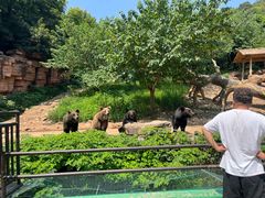 -湖州太湖旅游度假区-月亮广场