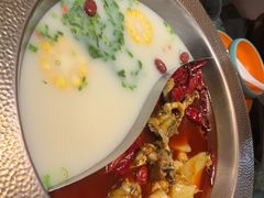 -麻田会 ·鲜活现烹·牛蛙火锅(珠江新城维家思广场店)