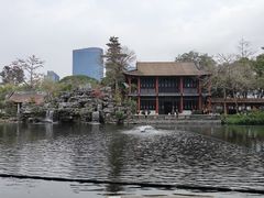 -顺峰山公园