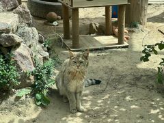 -青藏高原野生动物园