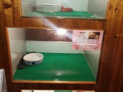 -上海大自然野生昆虫馆(东方明珠·爬宠昆虫探索中心)