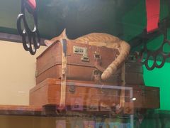 -猫咪博物馆(顶澳仔猫街店)
